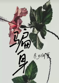 骗身份证信息贷款