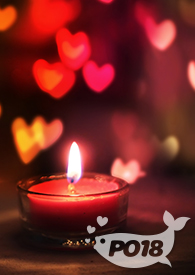 娇媳和骄媳哪个正确